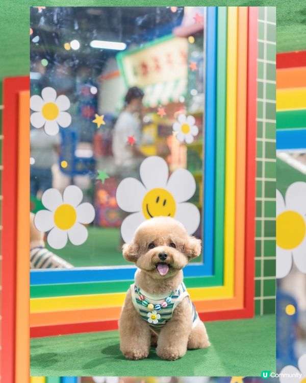 ✨𝓦𝓲𝓰𝓰𝓵𝓮 𝓦𝓲𝓰𝓰𝓵𝓮🌈