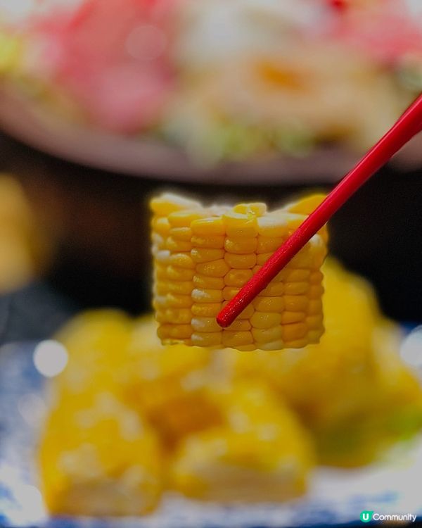 💕元朗超高質宮廷風火鍋🍲💕