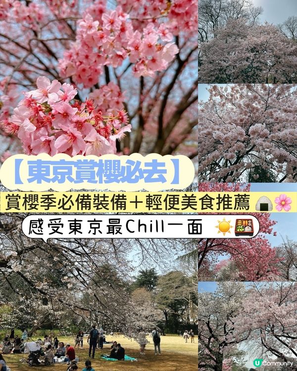新宿御苑櫻花盛宴🌸❗️ 賞櫻季必備裝備＋輕便美食推薦 🍙🌸