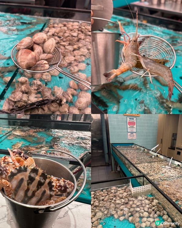 新鮮海鮮任撈任食，性價比好高