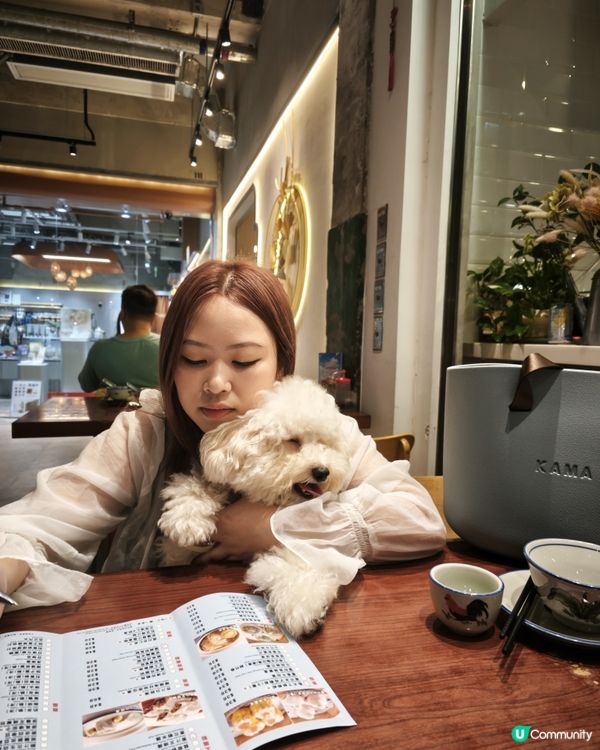 蠢蠢陪媽咪揀點心🤭🤭