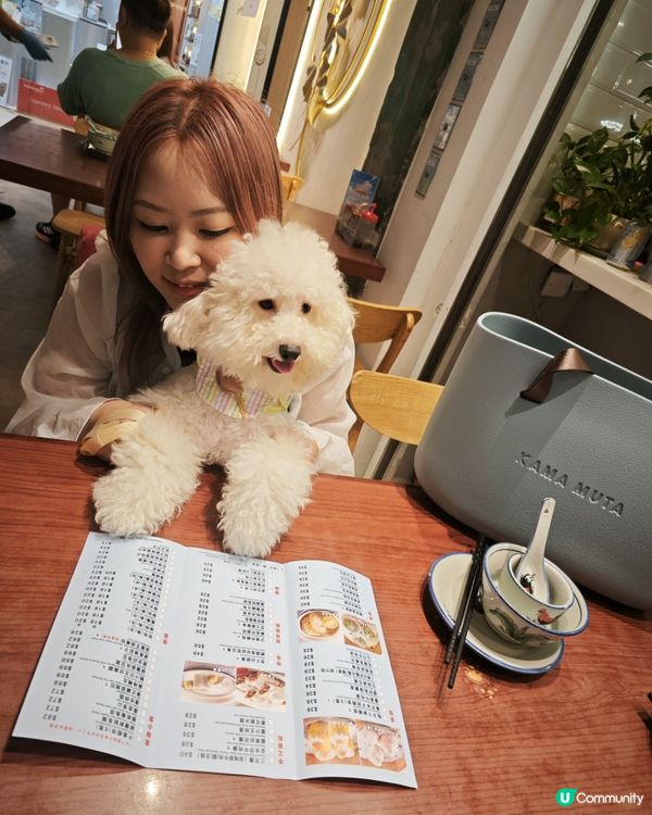 蠢蠢陪媽咪揀點心🤭🤭