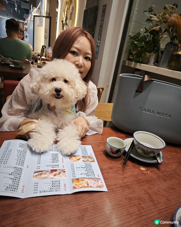 蠢蠢陪媽咪揀點心🤭🤭