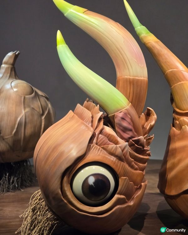 油街焦點 - 像極了花園