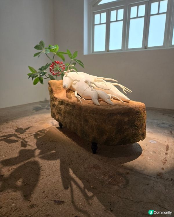 油街焦點 - 像極了花園