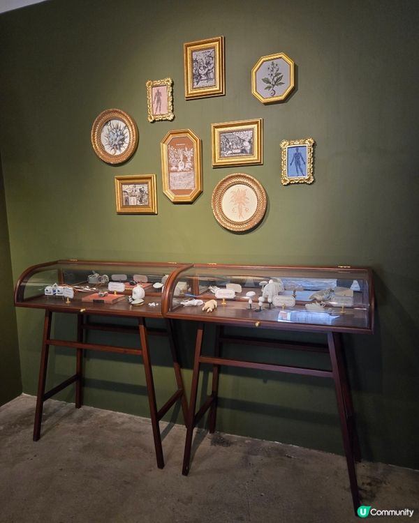 油街焦點 - 像極了花園