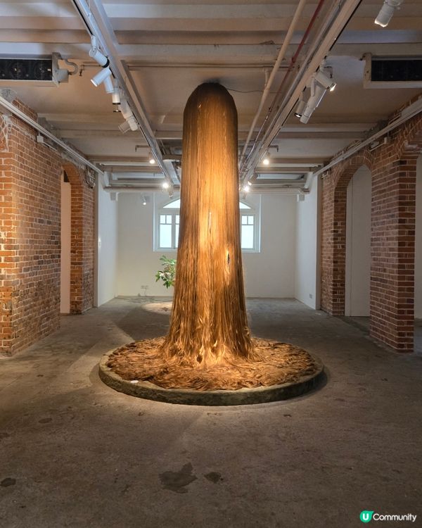 油街焦點 - 像極了花園