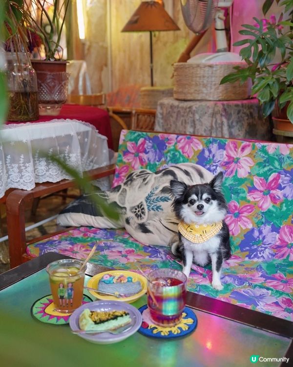 Mum’s not home🍰 🌈 