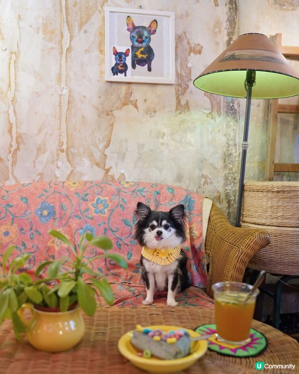 Mum’s not home🍰 🌈 