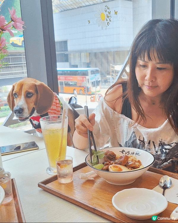 今次介紹 ~ 老媽拌麵(北角匯)