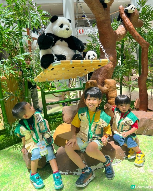 職業體驗~ 照顧小動物