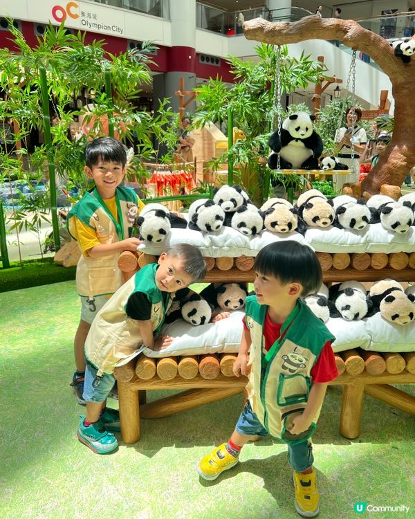 職業體驗~ 照顧小動物