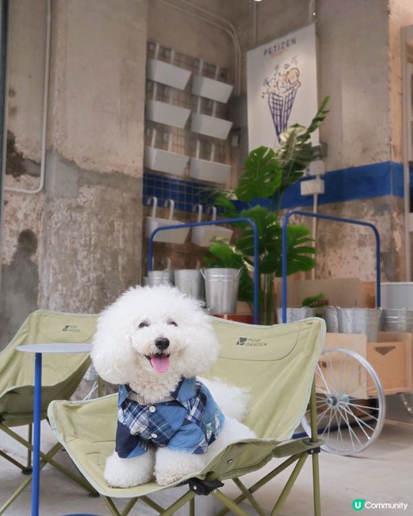 Petizen 大變身 新舖超正🤩 寵物友善cafe🐶☕