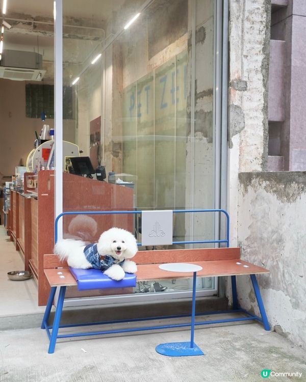 Petizen 大變身 新舖超正🤩 寵物友善cafe🐶☕