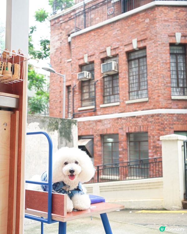 Petizen 大變身 新舖超正🤩 寵物友善cafe🐶☕
