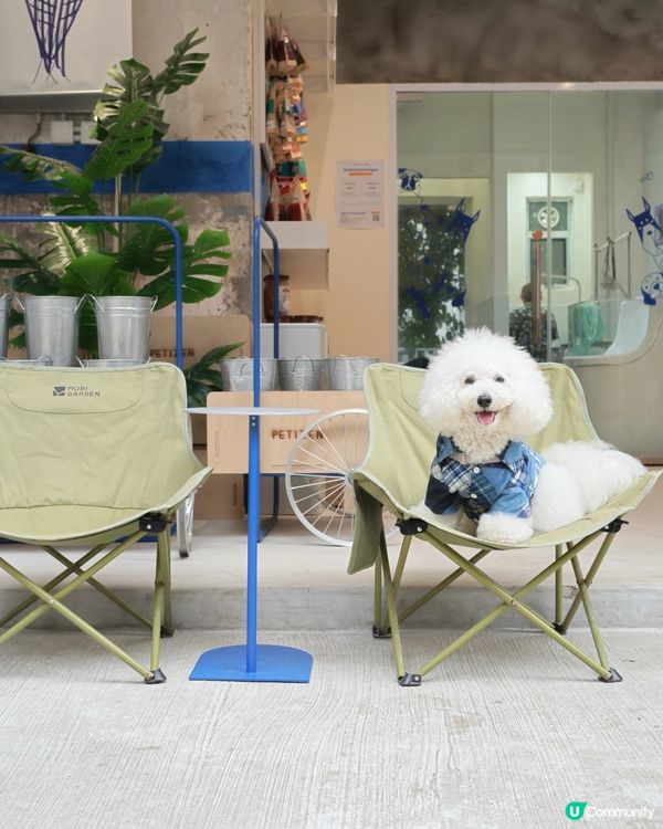 Petizen 大變身 新舖超正🤩 寵物友善cafe🐶☕