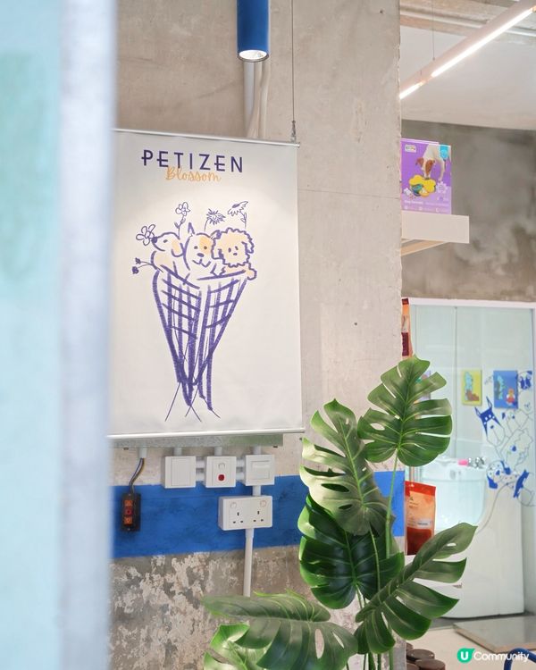 Petizen 大變身 新舖超正🤩 寵物友善cafe🐶☕