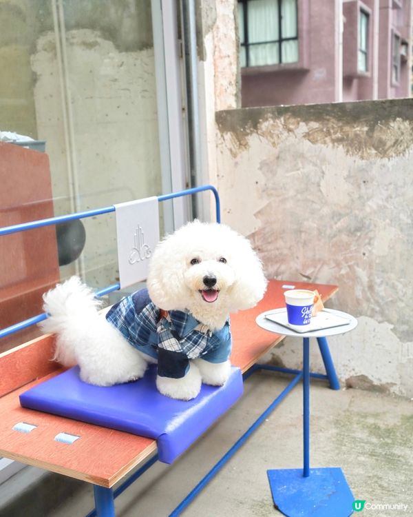 Petizen 大變身 新舖超正🤩 寵物友善cafe🐶☕
