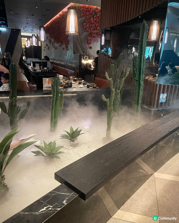 湊湊6週年半價午餐！🤤 抵食到爆！