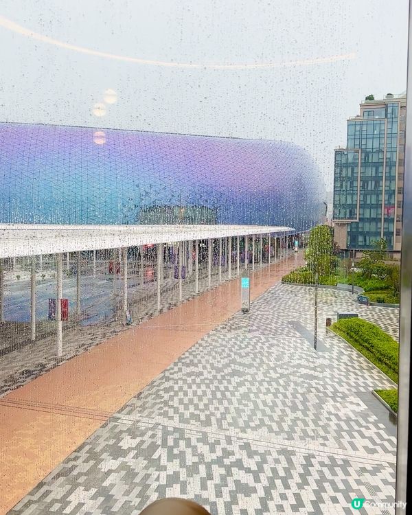 乳鴿一送一🤤啟德中菜！早市下午茶8折！