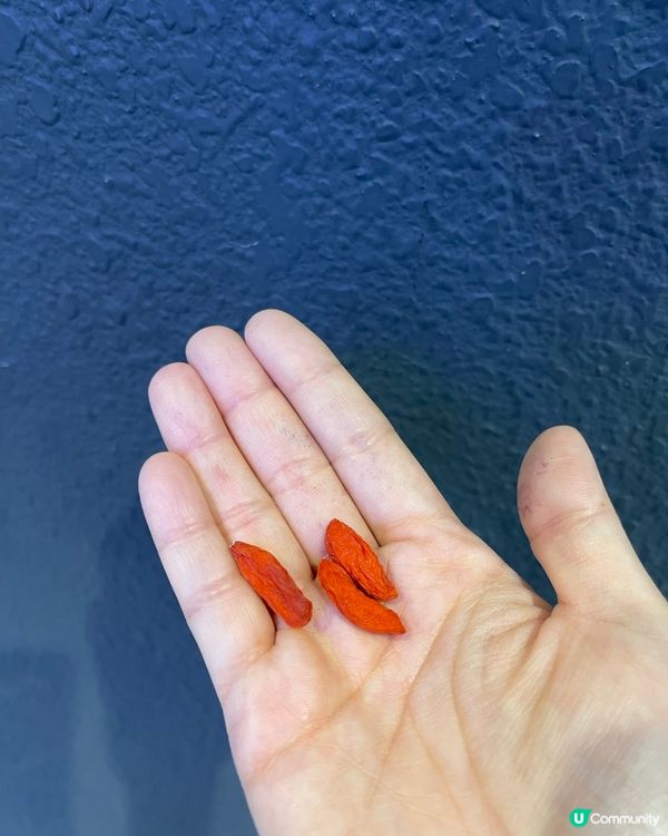 美食博覽完滿結束