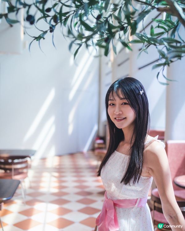 以木化石為主題的咖啡店