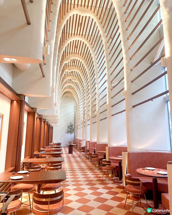 以木化石為主題的咖啡店