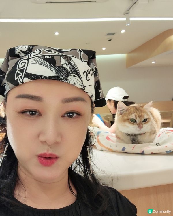 🐱 貓貓Cafe初體驗！與貓同樂兩小時😍😍🐱