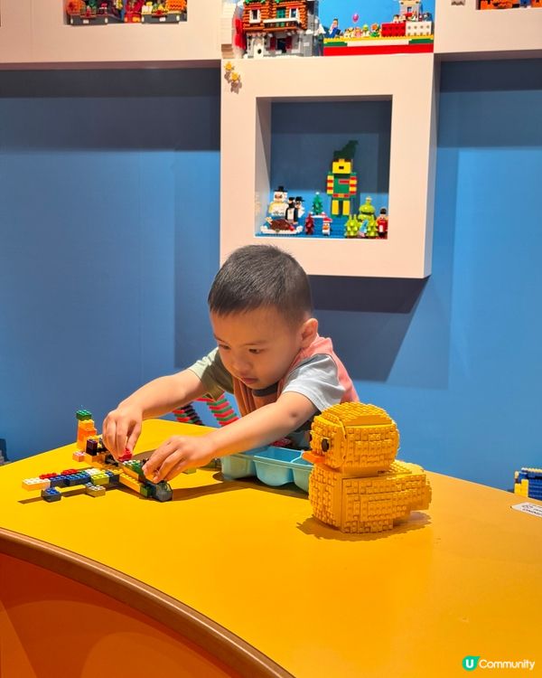 暑假大冒險啟動！