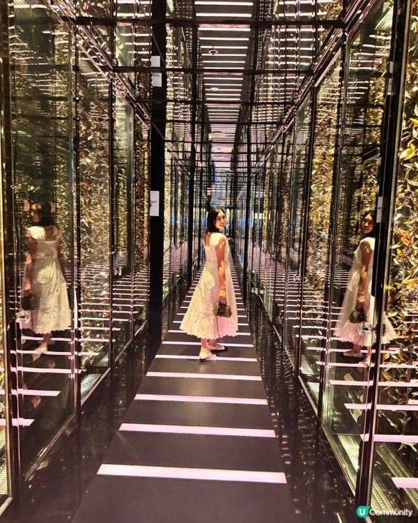 ✨天龍軒 Bling Bling長廊絕對係必影打卡聖地！