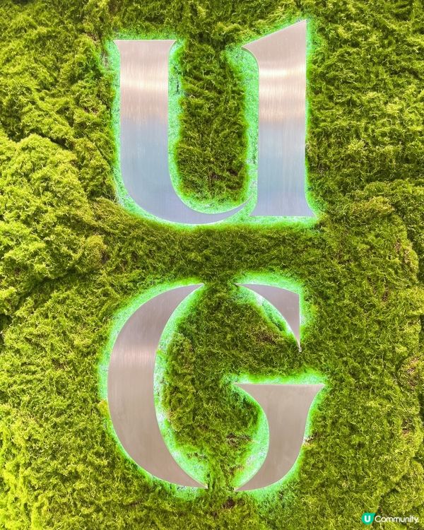 台灣人係過江龍𝕌𝔾 𝕋𝔼𝔸 ✨