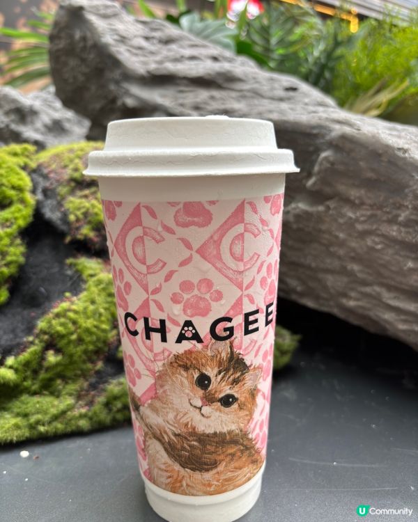 星期日尖咀霸王茶姬，伯牙絕弦好正！😋🍵