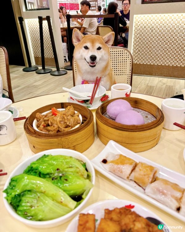 / 2訪老馮茶居 \