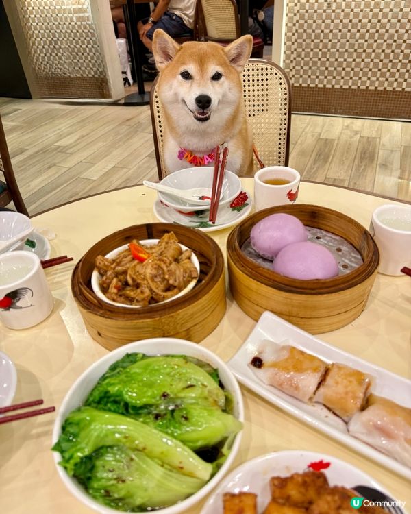 / 2訪老馮茶居 \