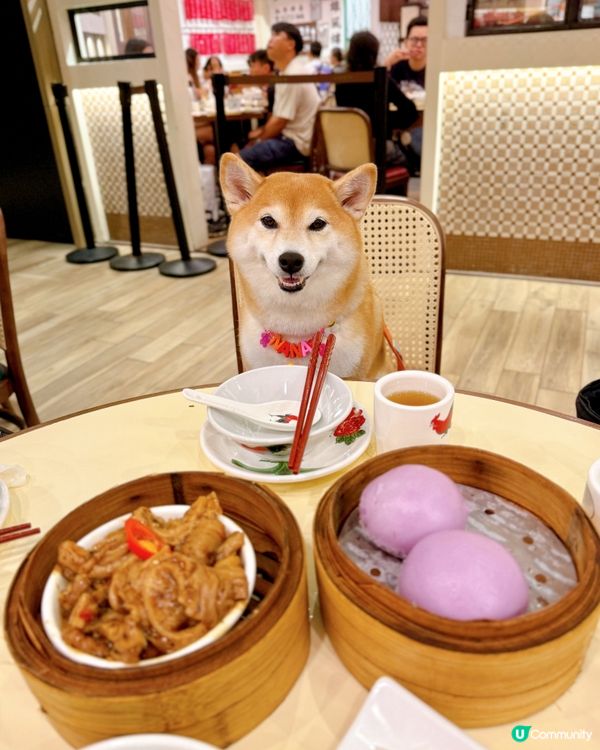 / 2訪老馮茶居 \