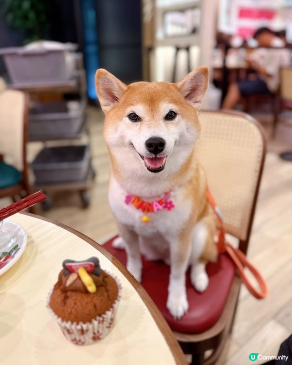 / 2訪老馮茶居 \