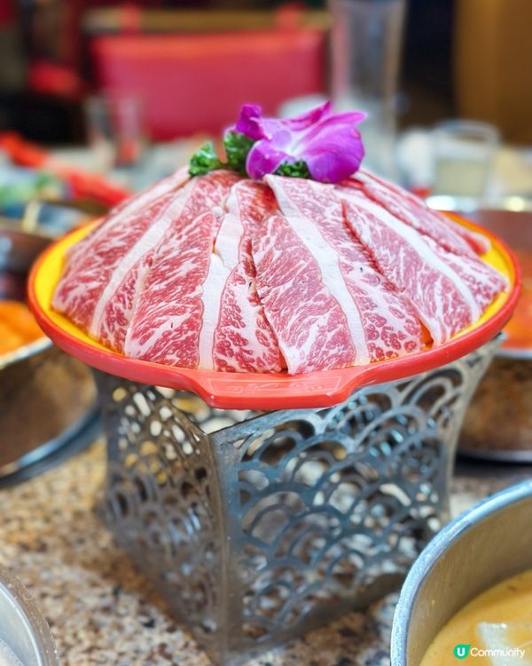 霓虹火鍋夜！老香港風味🔥🍲 15字