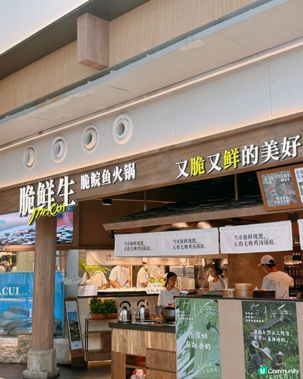 深圳皇庭廣場脆鯇魚火鍋🤤！超正！