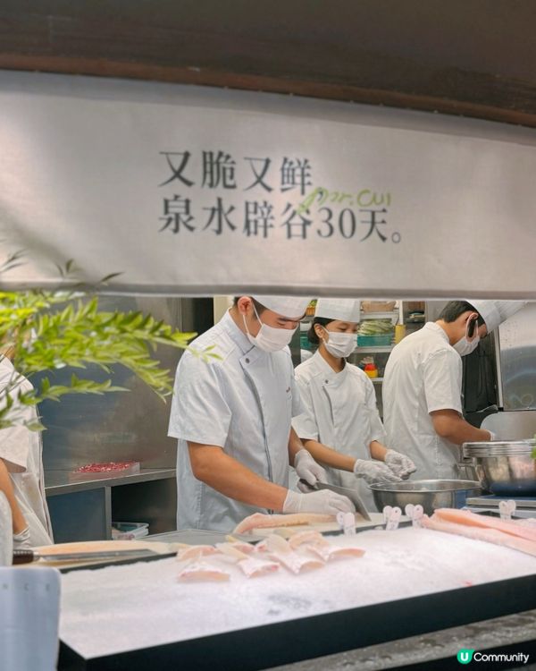 深圳皇庭廣場脆鯇魚火鍋🤤！超正！