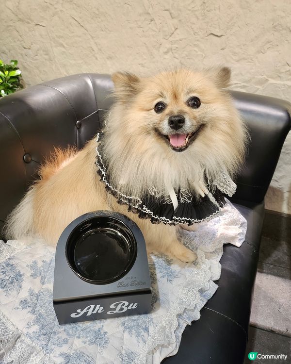 客製復古風名字寵物碗架