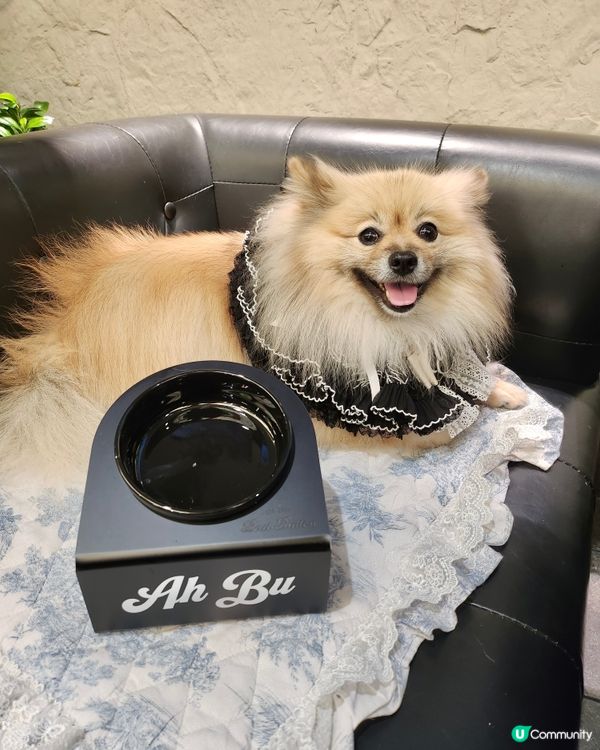 客製復古風名字寵物碗架