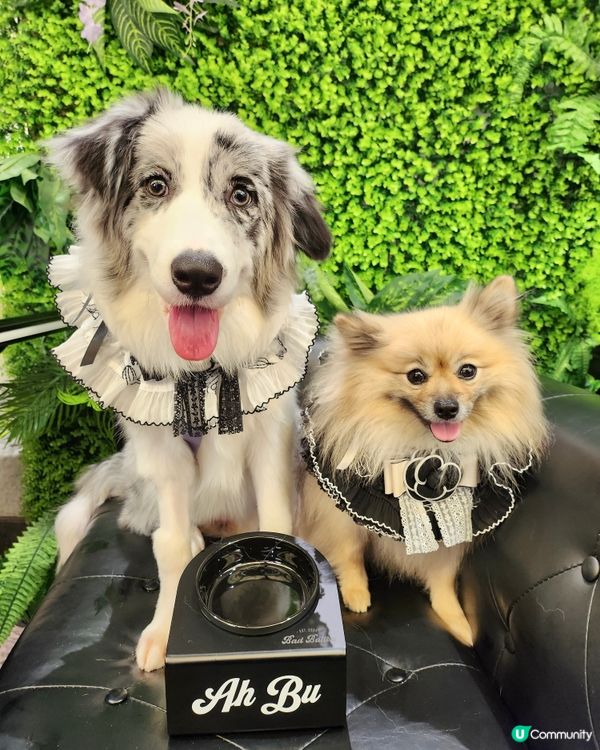 客製復古風名字寵物碗架