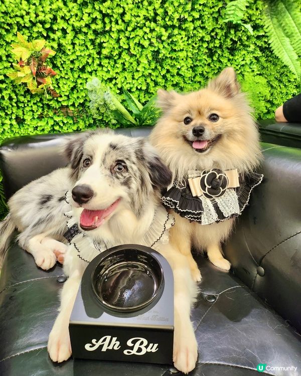 客製復古風名字寵物碗架