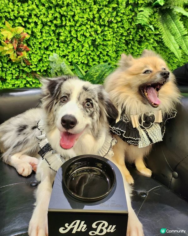 客製復古風名字寵物碗架