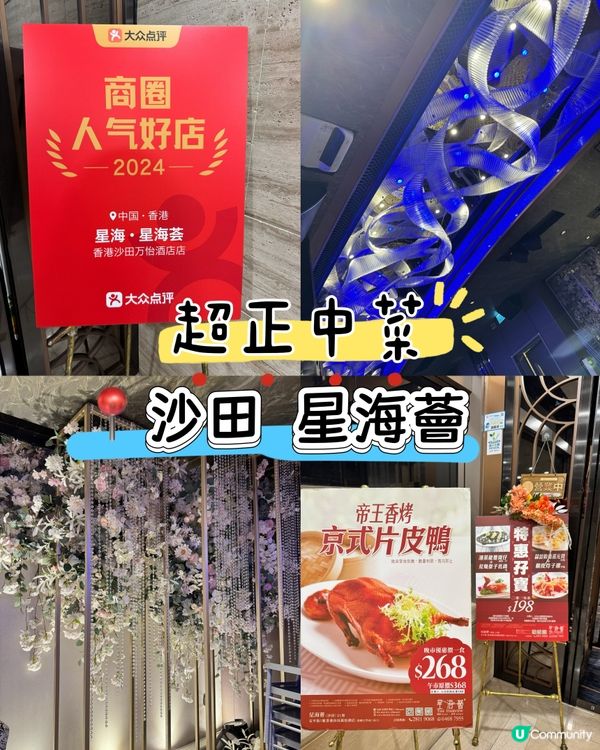 沙田星海薈中菜🤤！必食白胡椒蟹🦀！😋