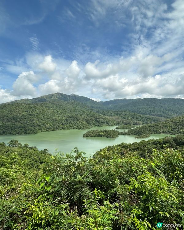 城門水塘水畔千層