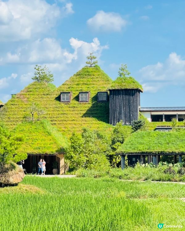 靚景+美食😍近江八幡打卡攻略📸