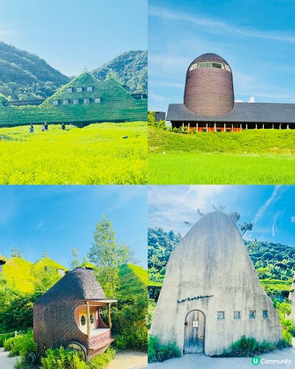 靚景+美食😍近江八幡打卡攻略📸