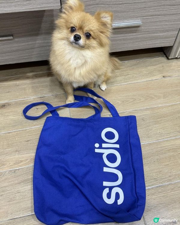 🎶 Sudio 隨時隨地開啟好音樂 🎶