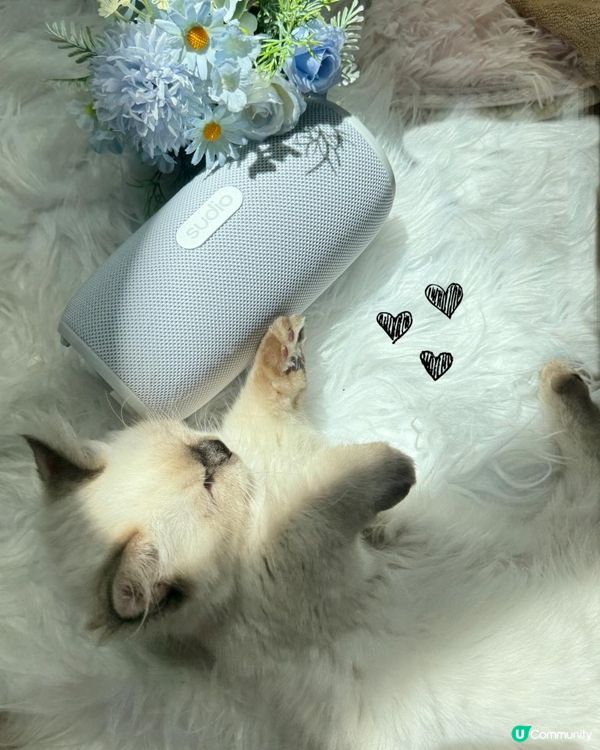 🎶 Sudio 隨時隨地開啟好音樂 🎶